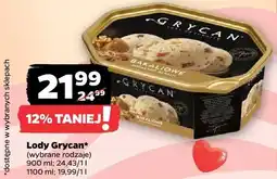 Netto Lody Manhattan, wybrane rodzaje oferta