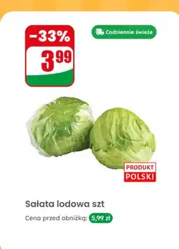 Dino Sałata lodowa 1 szt oferta