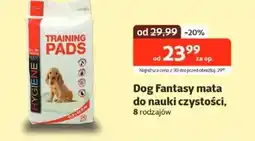 Kakadu Mata do nauki czystości Dog Fantasy oferta