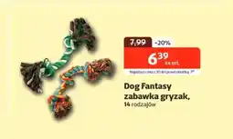 Kakadu Gryzak Dog Fantasy oferta