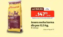 Kakadu Karma dla psa Josera oferta