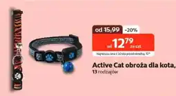 Kakadu Obroża dla kota Active Cat oferta