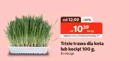 Kakadu Trawa dla kota oferta