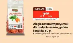 Kakadu Przysmak dla ptaków Alegia oferta