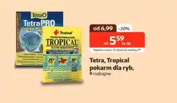 Kakadu Pokarm dla ryb Tropical oferta