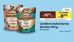 Kakadu Mokra karma dla kota carnilove oferta