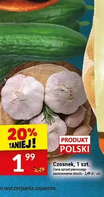 Twój Market Czosnek, 1 szt oferta