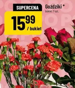 Polomarket Goździki (bukiet 7 szt.) oferta