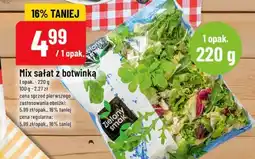 Polomarket Mix sałat z botwinką oferta