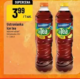 Polomarket Ustronianka Ice tea oferta