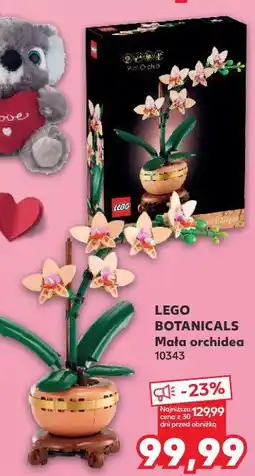 Kaufland LEGO Botanicals Mała orchidea 10343 oferta