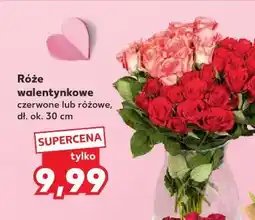 Kaufland Róże walentynkowe (13 szt. bukiet, 30 cm) oferta