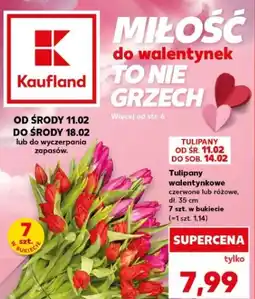 Kaufland Tulipany walentynkowe oferta
