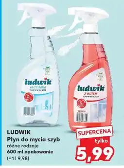 Kaufland Ludwik Płyn do mycia szyb oferta