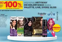 Kaufland Wszystkie artykuły do koloryzacji (Palette, Live, Syoss, Gloss) oferta