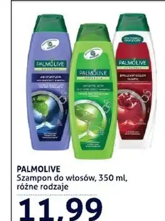 Szampon Palmolive