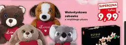 Kaufland Walentynkowa zabawka oferta