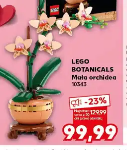 Kaufland LEGO Botanicals Mała orchidea 10343 oferta