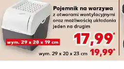 Kaufland Pojemnik na warzywa oferta