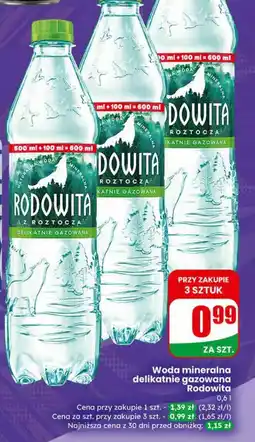 Dino Rodowita delikatnie gazowana oferta