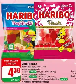 Dino Żelki Haribo oferta