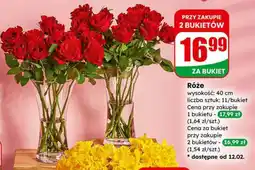 Dino Róże (bukiet) oferta