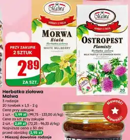 Dino Herbatka ziołowa Malwa oferta
