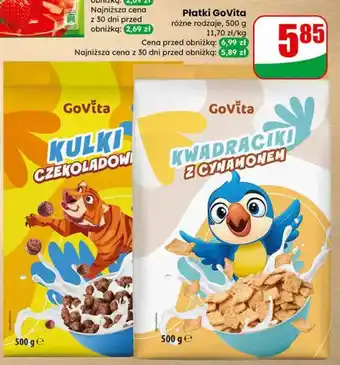 Dino Płatki GoVita oferta