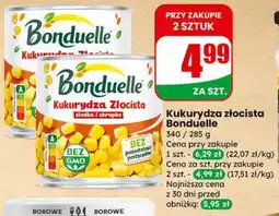 Dino Kukurydza złocista Bonduelle oferta