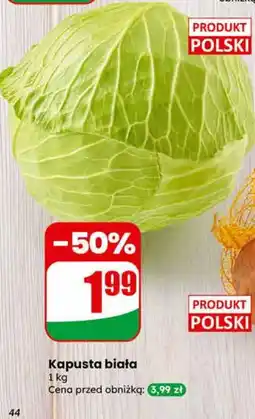 Dino Kapusta biała oferta