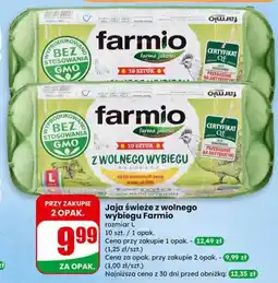 Dino Jaja świeże z wolnego wybiegu Farmio, rozmiar L, 10 szt oferta