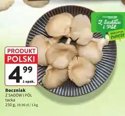 Intermarche Boczniaki Z Sadów I Pól tacka oferta
