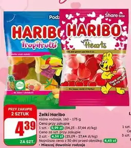 Dino Żelki różne rodzaje oferta