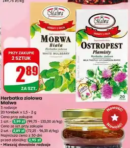 Dino Herbatka ziołowa Morwa Biała oferta