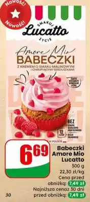 Dino Babeczki Amore Mio oferta