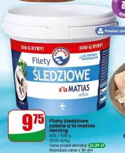 Dino Filety śledziowe solone a'la matias Herring oferta