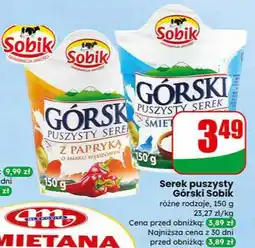 Dino Serek puszysty GÓRSKI oferta
