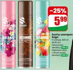 Dino Suchy szampon Sego oferta