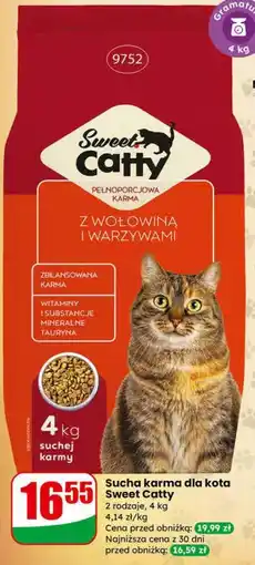 Dino Sweet Catty sucha karma dla kota z wołowiną i warzywami oferta