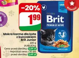 Dino Brit Premium by Nature Junior mokra karma z kurczakiem oferta