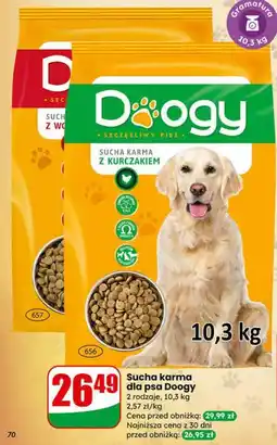 Dino Sucha karma dla psa Doogy (z kurczakiem) oferta