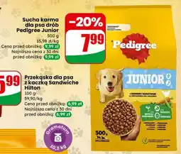 Dino Sucha karma dla psa drob Pedigree Junior oferta