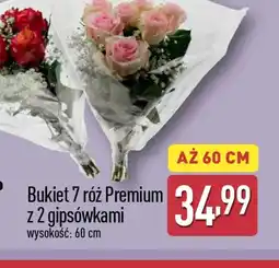 ALDI Bukiet 7 róż Premium oferta