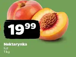 Netto Nektarynka oferta