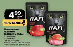 Netto Karma mokra dla kotów Rafi Dolina Noteci oferta