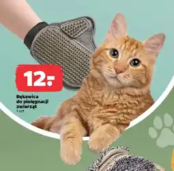 Netto Rękawica do pielęgnacji zwierząt oferta