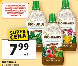 Auchan Nawóz Biohumus oferta