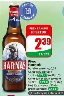 Dino Piwo HARNAŚ oferta