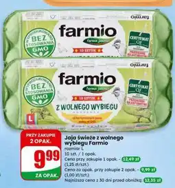 Dino Jaja świeże z wolnego wybiegu Farmio oferta