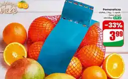 Dino Pomarańcza oferta